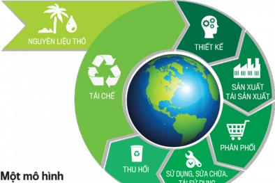 TCVN 14468:2025 – đo lường kinh tế tuần hoàn cho sản phẩm